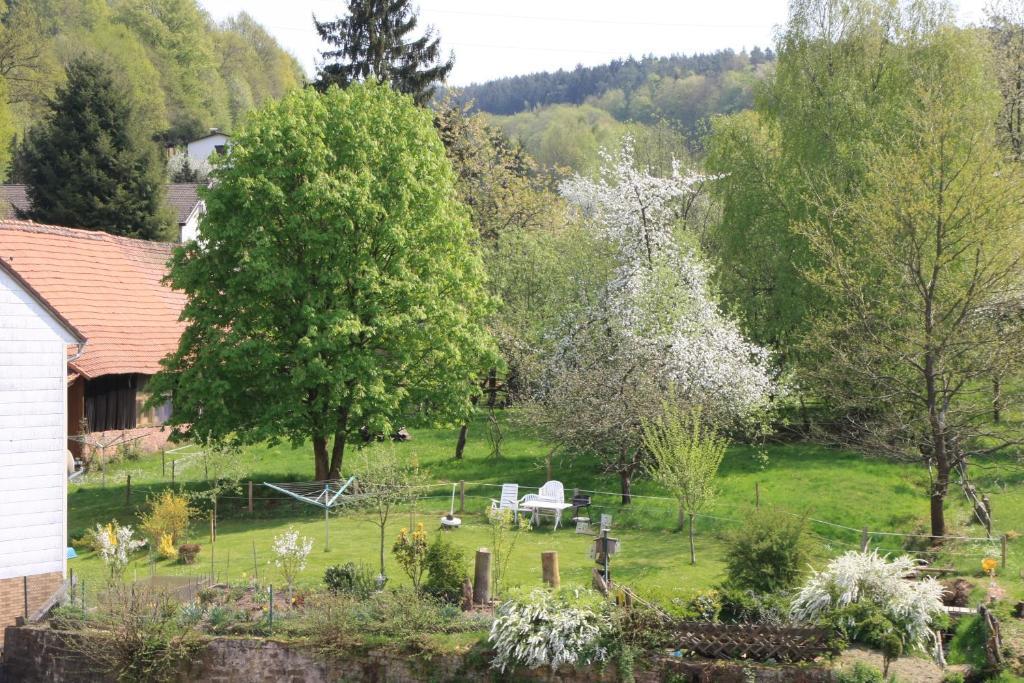 Gasthof Zur Traube Hotel Finkenbach Room photo